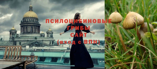 СК Абаза