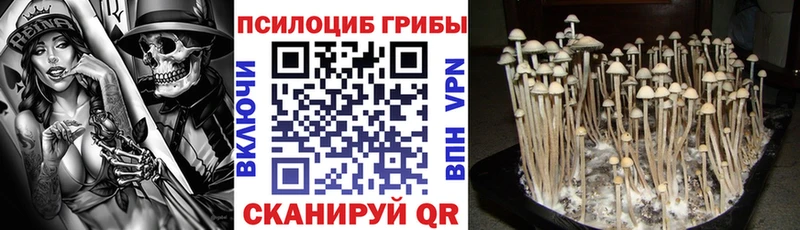хочу наркоту  Арамиль  Галлюциногенные грибы GOLDEN TEACHER 